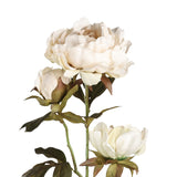 Semporna Artificial Peony - Beige