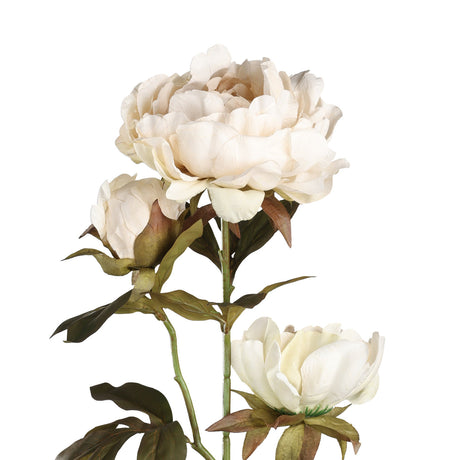 Semporna Artificial Peony in beige cream with an open bloom, half-open bloom and bud on a single green stem with olive leaves, shown on a plain white background.