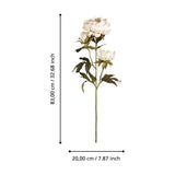 Semporna Artificial Peony - Beige