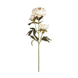 Semporna Artificial Peony - Beige