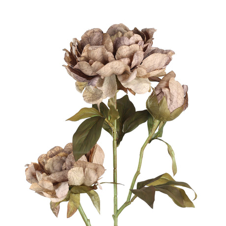 Semporna Artificial Peony in brown on a single stem with two open blooms and one bud among olive-green leaves, shown against a plain white background.