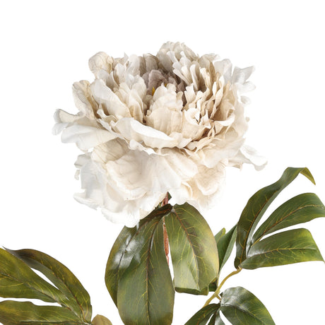 Semporna Artificial Peony in White, close-up of a layered ruffled bloom in cream and beige tones with glossy green leaves, set against a plain white background.