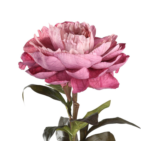 Semporna Artificial Rose in pink plastic, a single layered bloom with ruffled petals shading from pale blush to raspberry, on a brown stem with dark green leaves against a plain white background.