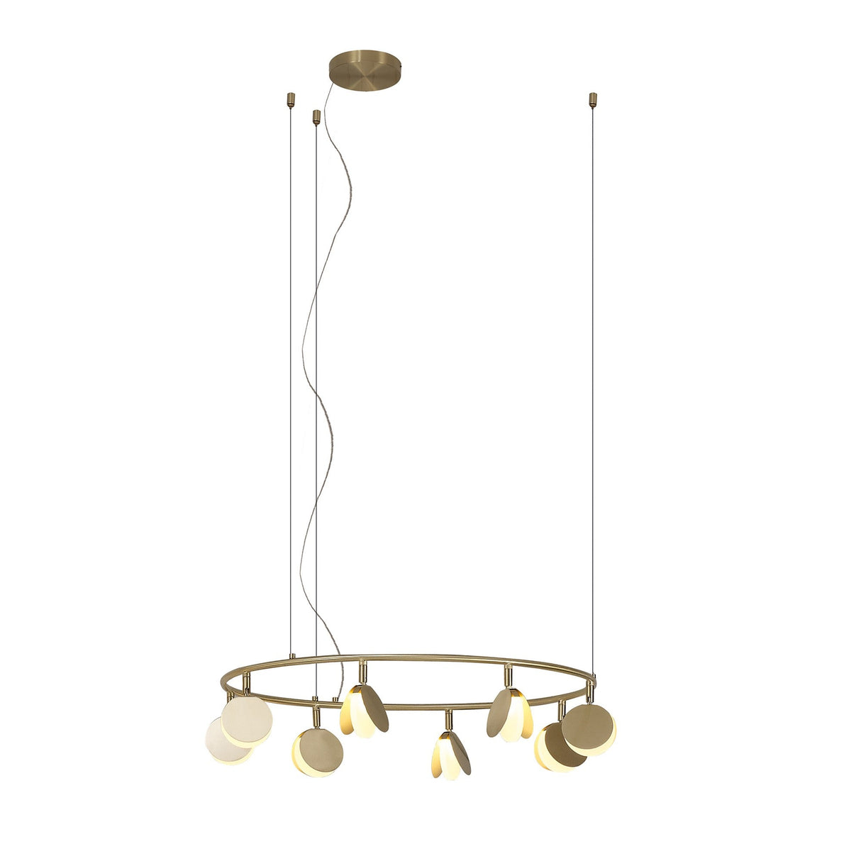 Shell 66cm Round LED Suspension Light 40W 3000K - Gold