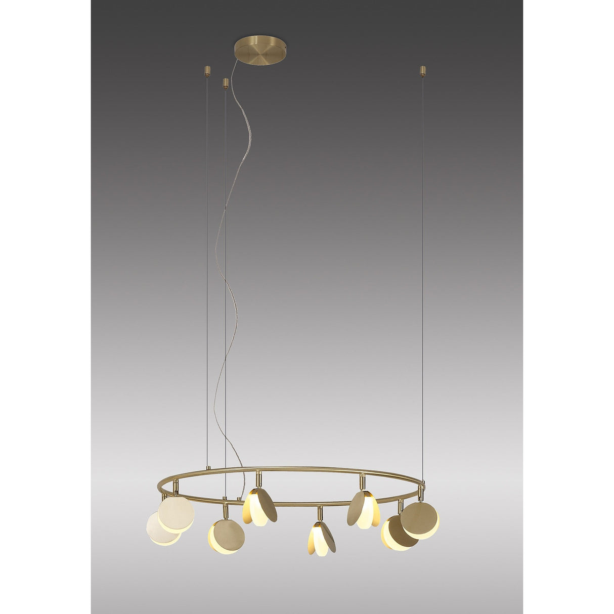 Shell 66cm Round LED Suspension Light 40W 3000K - Gold