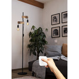 Smart LED GLS bulbs, E27 fitting, amber-tinted glass with spiral filament, lit on a black floor lamp beside a plant, controlled via handheld smart remote in a living room.