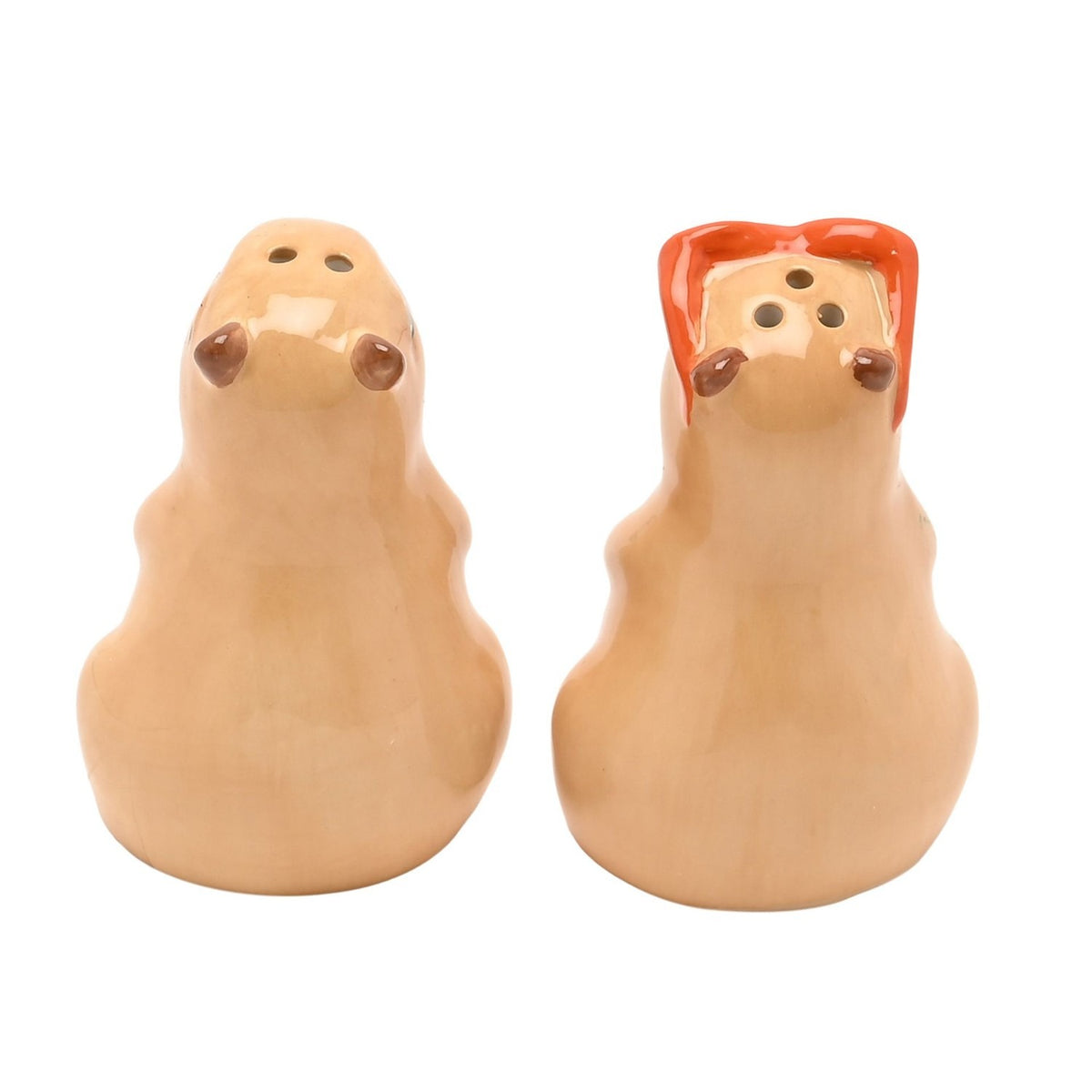 Capybara Earthenware Salt & Pepper Pot Set - Brown & Orange