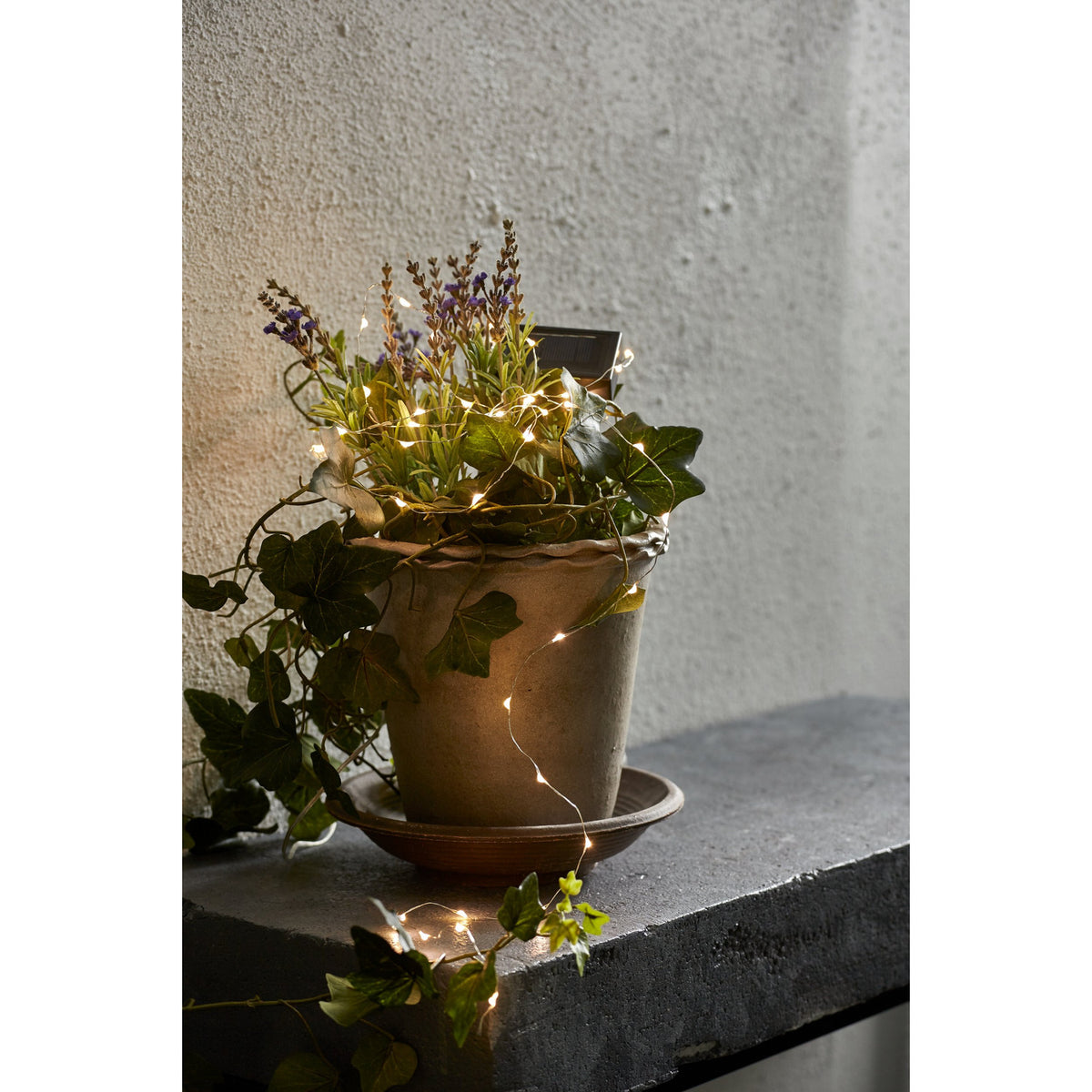 Solar String Lights 5m - Black & Clear