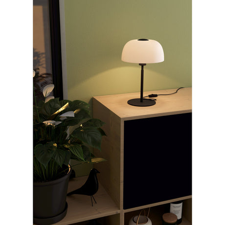Solo 2 Table Lamp in black, with a domed white etched glass shade, slim black steel stem and round flat base, shown lit on a wooden sideboard beside a potted plant.