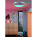 Somorne Smart LED Flush Ceiling Light - Grey & White