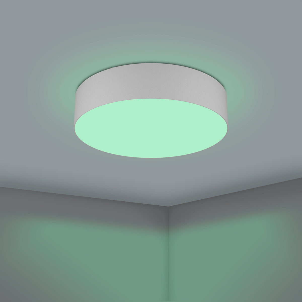 Somorne Smart LED Flush Ceiling Light - Grey & White