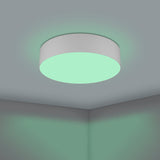 Somorne Smart LED Flush Ceiling Light - Grey & White
