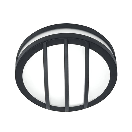 Sven 1 Light Wall/Ceiling Lantern - Graphite