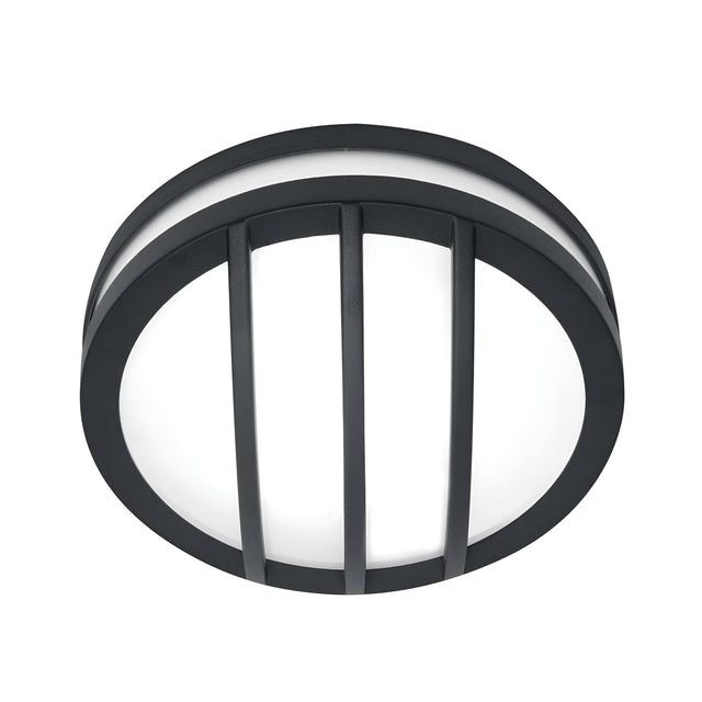 Sven 1 Light Wall/Ceiling Lantern - Graphite