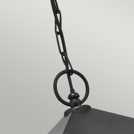 A detailed view of the Turin Outdoor 1 Light Chain Pendant in black, highlighting its top chain and ring attachment against a light gray backdrop. The design is minimalist and industrial, with an emphasis on the texture of the weather-resistant metal.