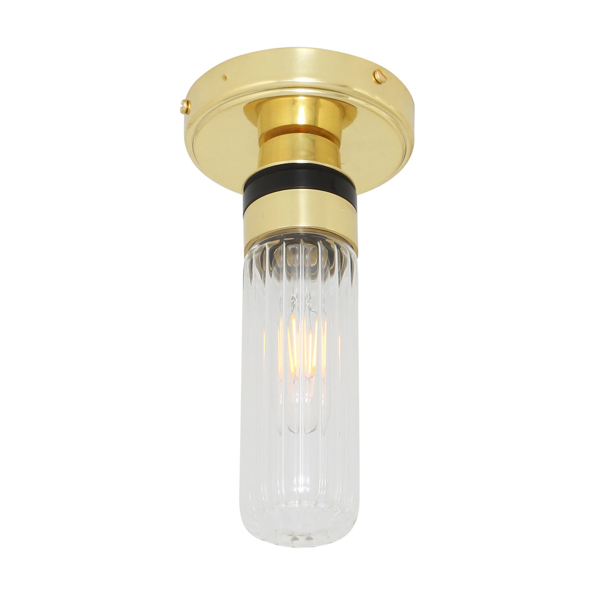Tay Glass Flush Ceiling Light IP65