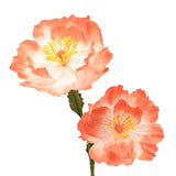 Two Flowers on Single Stem Faux Plant with Stand - Peach & Green
