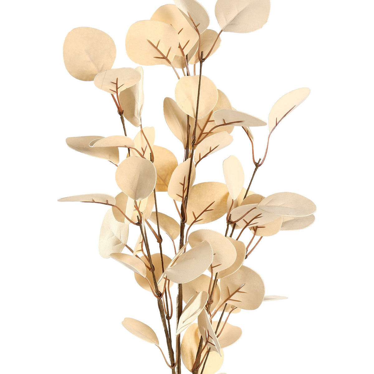 Tepaling artificial leaf branch in beige, with round eucalyptus-style leaves and fine brown veining branching from a thin stem, shown on a plain white background.
