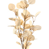 Tepaling artificial leaf branch in beige, with round eucalyptus-style leaves and fine brown veining branching from a thin stem, shown on a plain white background.