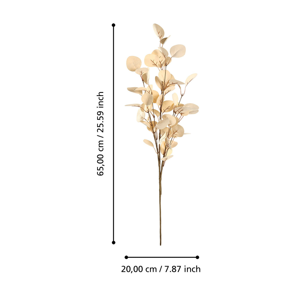 Tepaling artificial leaf branch in beige, showing round eucalyptus-style leaves with brown veining on a thin stem, with dimensions 65cm height and 20cm width marked, on a white background.