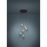 Terque Clear Glass 6 Light Pendant - Black & Brushed Brass