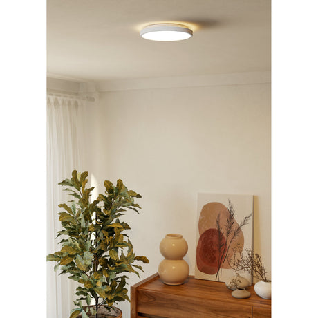 Testara-E LED Flush Ceiling Light 21.1cm in white, round plastic design with soft warm glow, shown fitted on a hallway ceiling above a decorated console table.