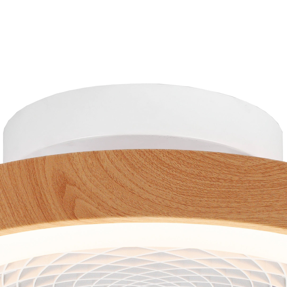 Tibet Mini CCT Dimmable LED Ceiling Retractable Fan Light With Remote - Brown/White