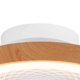 Tibet Mini CCT Dimmable LED Ceiling Retractable Fan Light With Remote - Brown/White