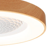 Tibet Mini CCT Dimmable LED Ceiling Retractable Fan Light With Remote - Brown/White