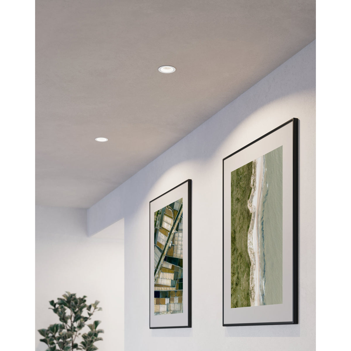 Tomelle Downlight - White
