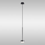 Tonic Dimmable LED Glass Pendant Light 12W 3000K - Clear & Black