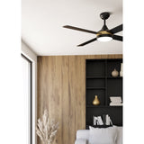 Trinidad Ceiling Fan with Light - Black & Brass