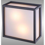 Utah 2 Light Outdoor Flush Ceiling Light - Graphite