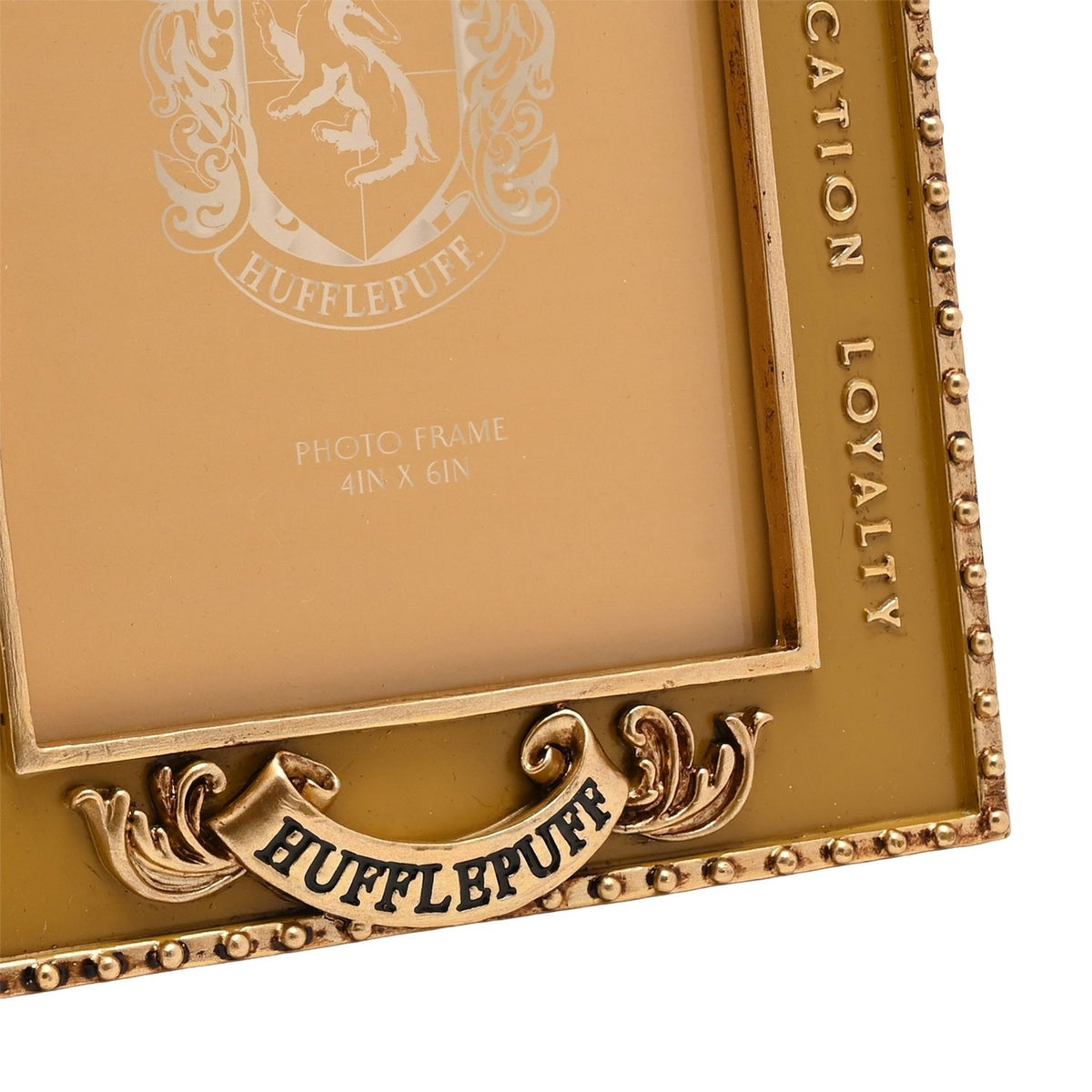 Harry Potter Hufflepuff Resin Photo Frame 6 x 4in - Yellow & Gold