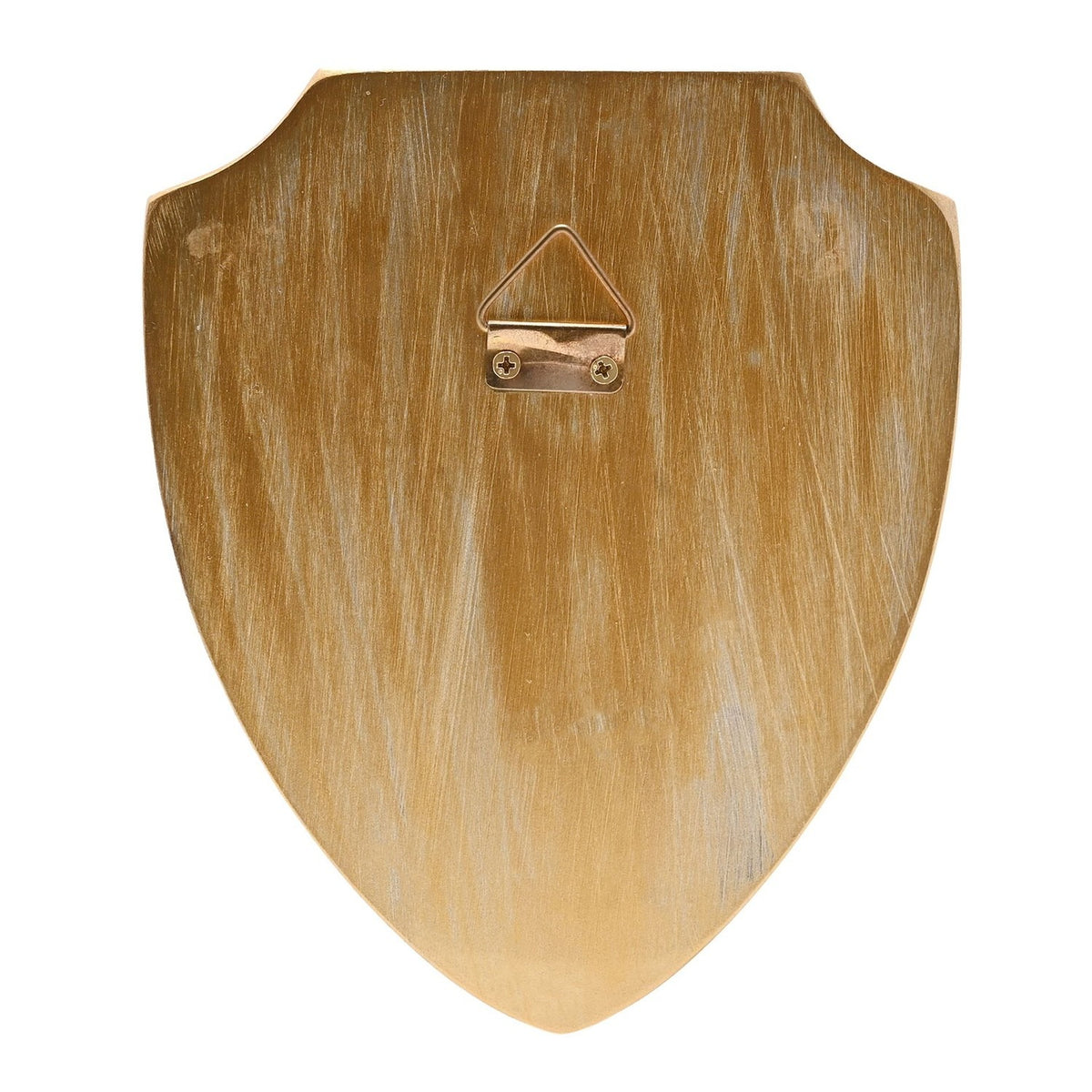 Harry Potter Hogwarts Crest Shield 3D Wall Art - Gold & Black