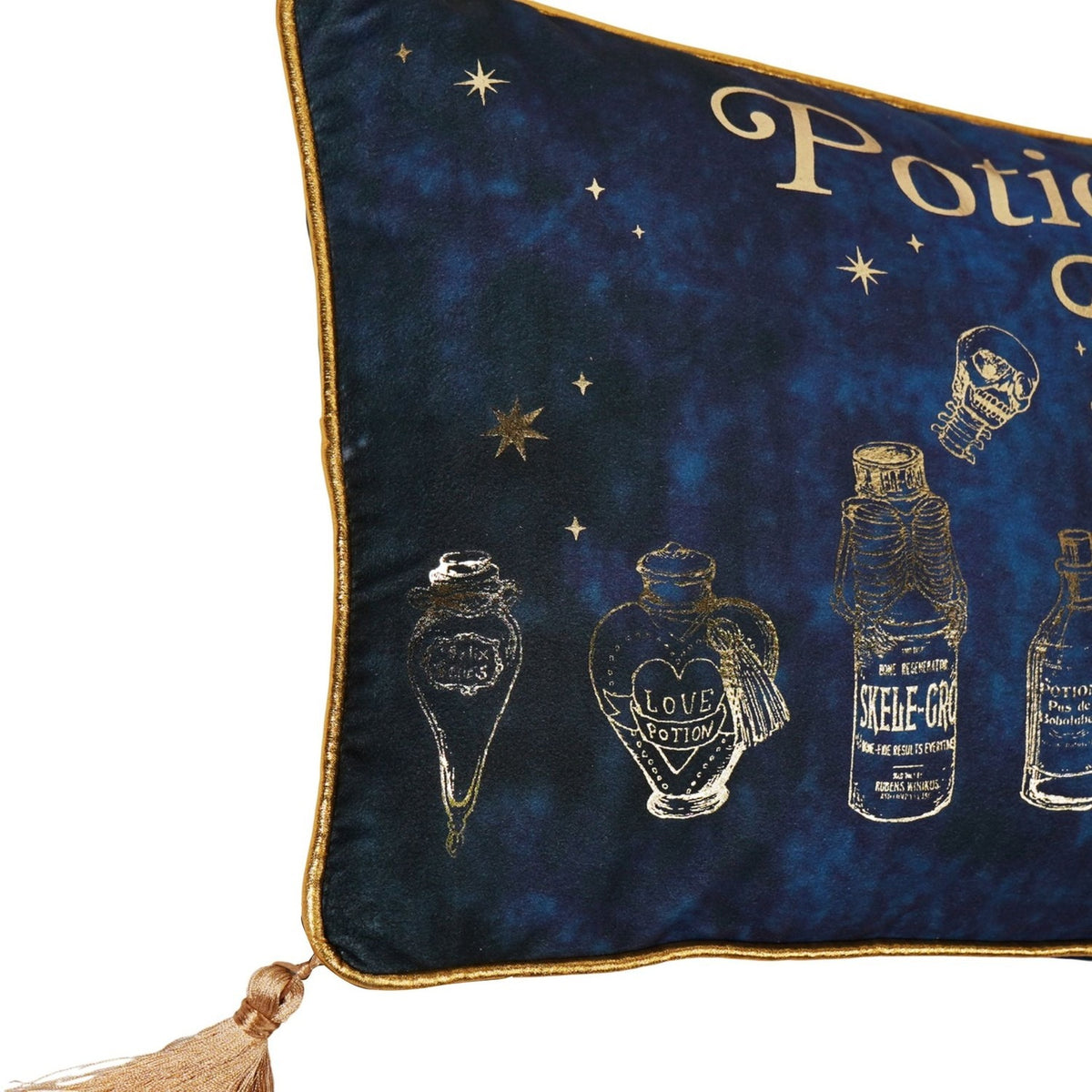 Harry Potter Potions Class Velvet Cushion 47.9 x 32.2cm - Blue