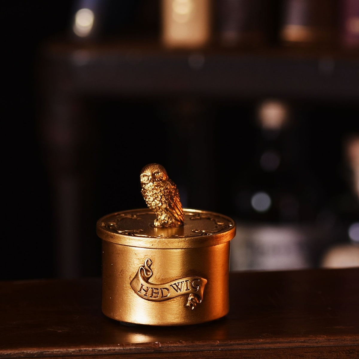 Harry Potter Hedwig round trinket box in brushed gold finish, with a detailed owl figure on the lift-off lid and "HEDWIG" raised on a front banner.