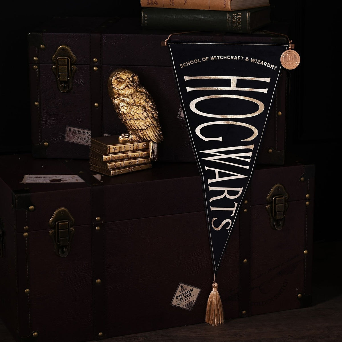Harry Potter Hogwarts Hanging Wall Banner with Tassel - Blue