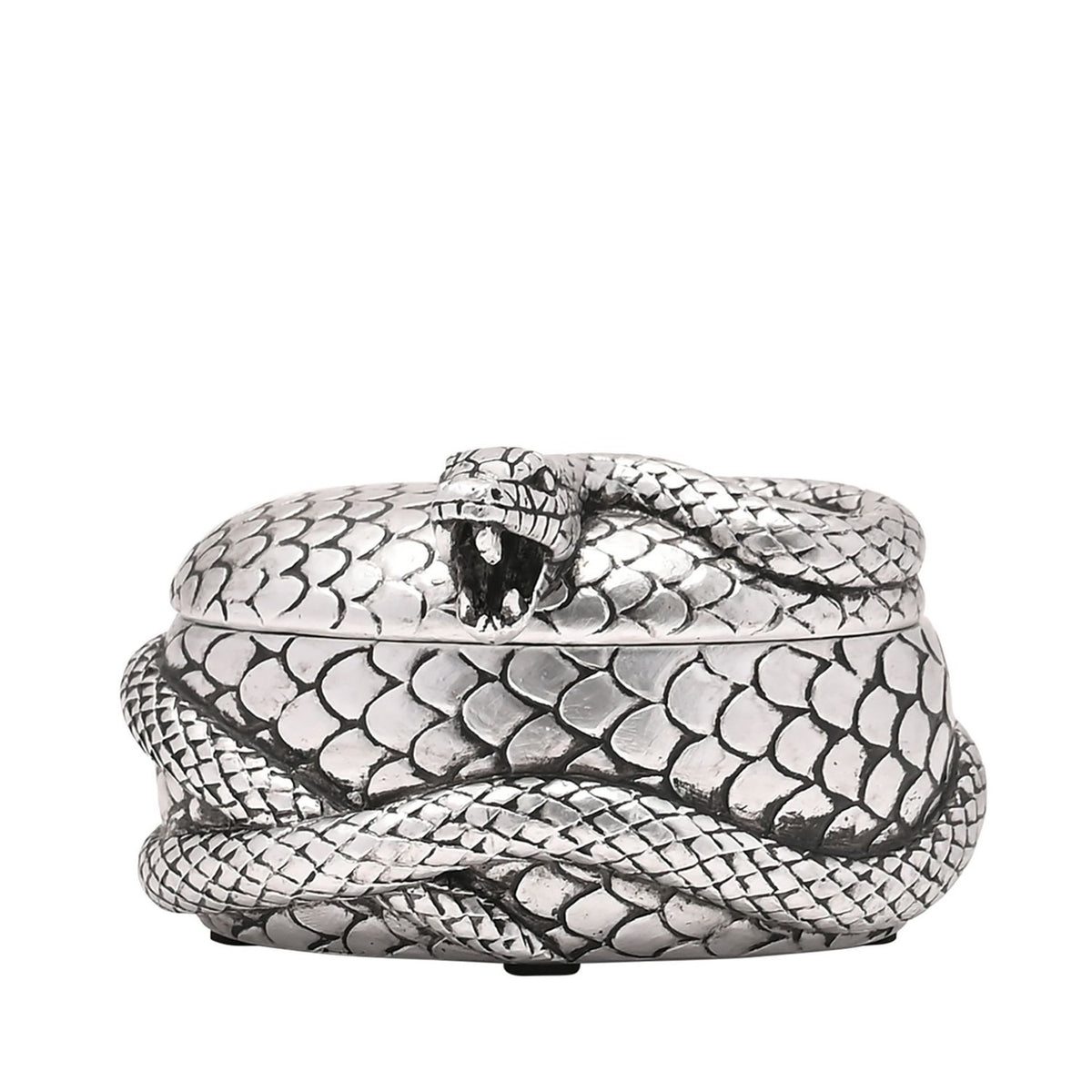 Harry Potter Nagini Coiled Snake Resin Trinket Box - Silver