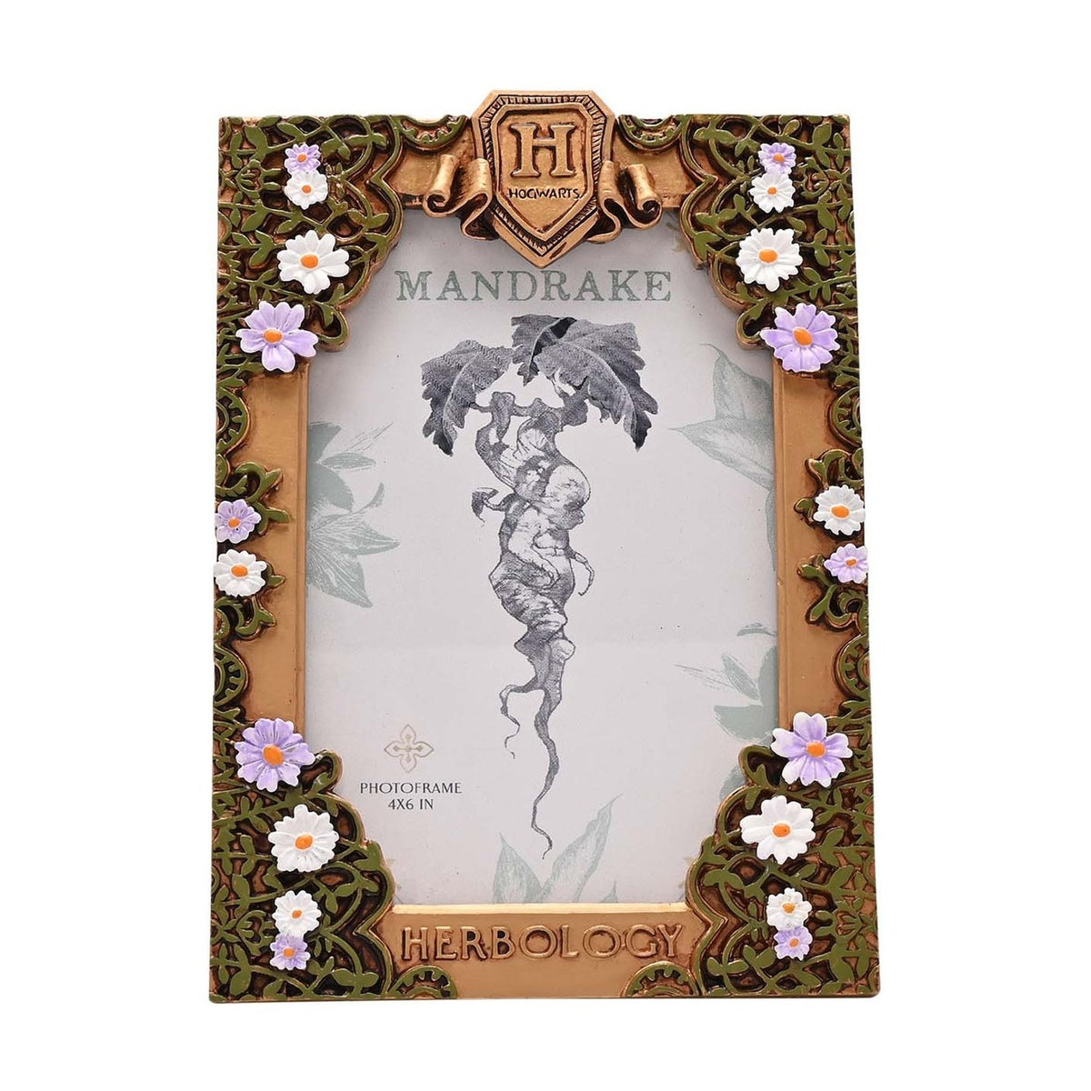 Harry Potter Herbology Floral Photo Frame - Gold & Black
