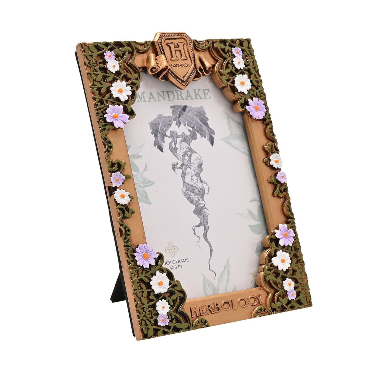 Harry Potter Herbology Floral Photo Frame - Gold & Black