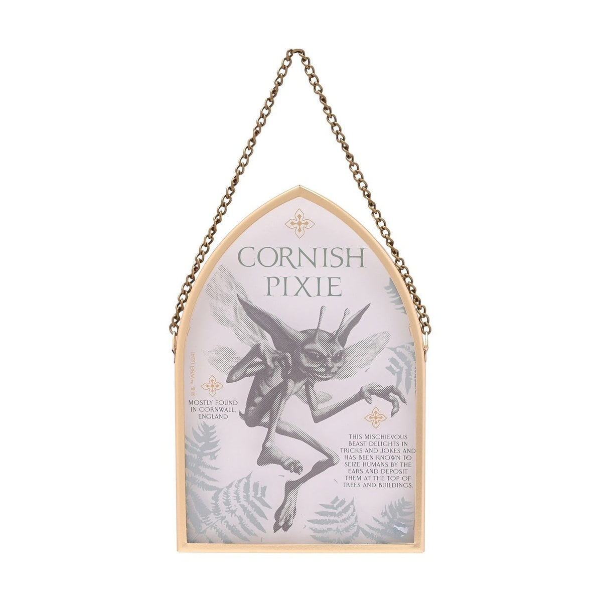 Harry Potter Cornish Pixie Wooden Arch Plaque - Gold & Clear