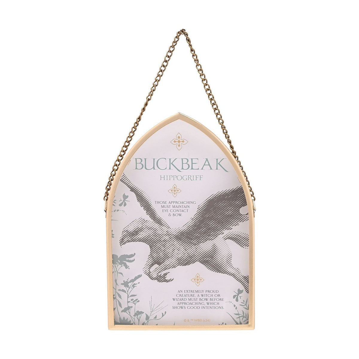 Harry Potter Buckbeak Arch Wooden Plaque - Gold & Clear