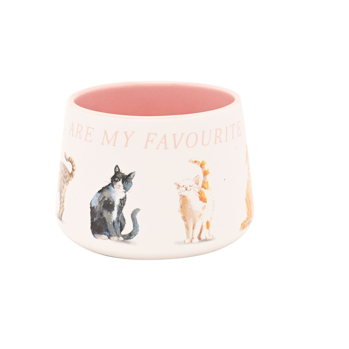 White ceramic mug with pink interior, featuring "Cats Are My Favourite People" text and watercolour-style illustrated cats around the exterior, shown on a plain white background.