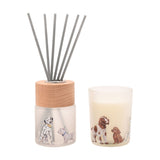 Apple & Jasmine Dog Reed Diffuser Set with Candle - White