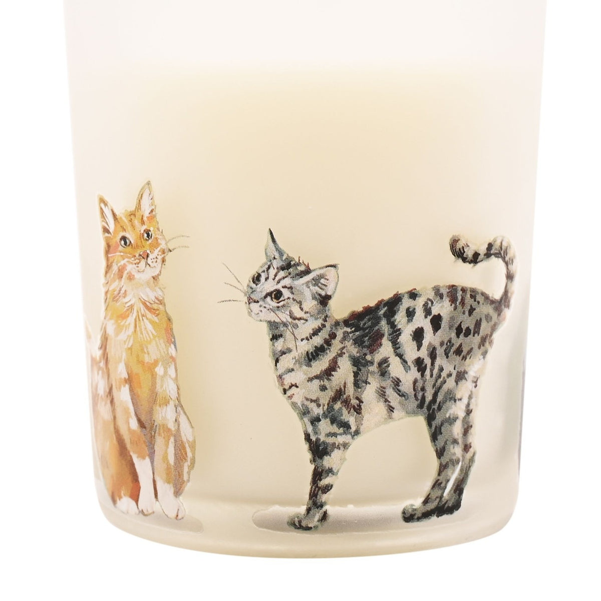 Apple & Jasmine Cat Candle and Reed Diffuser Set - White