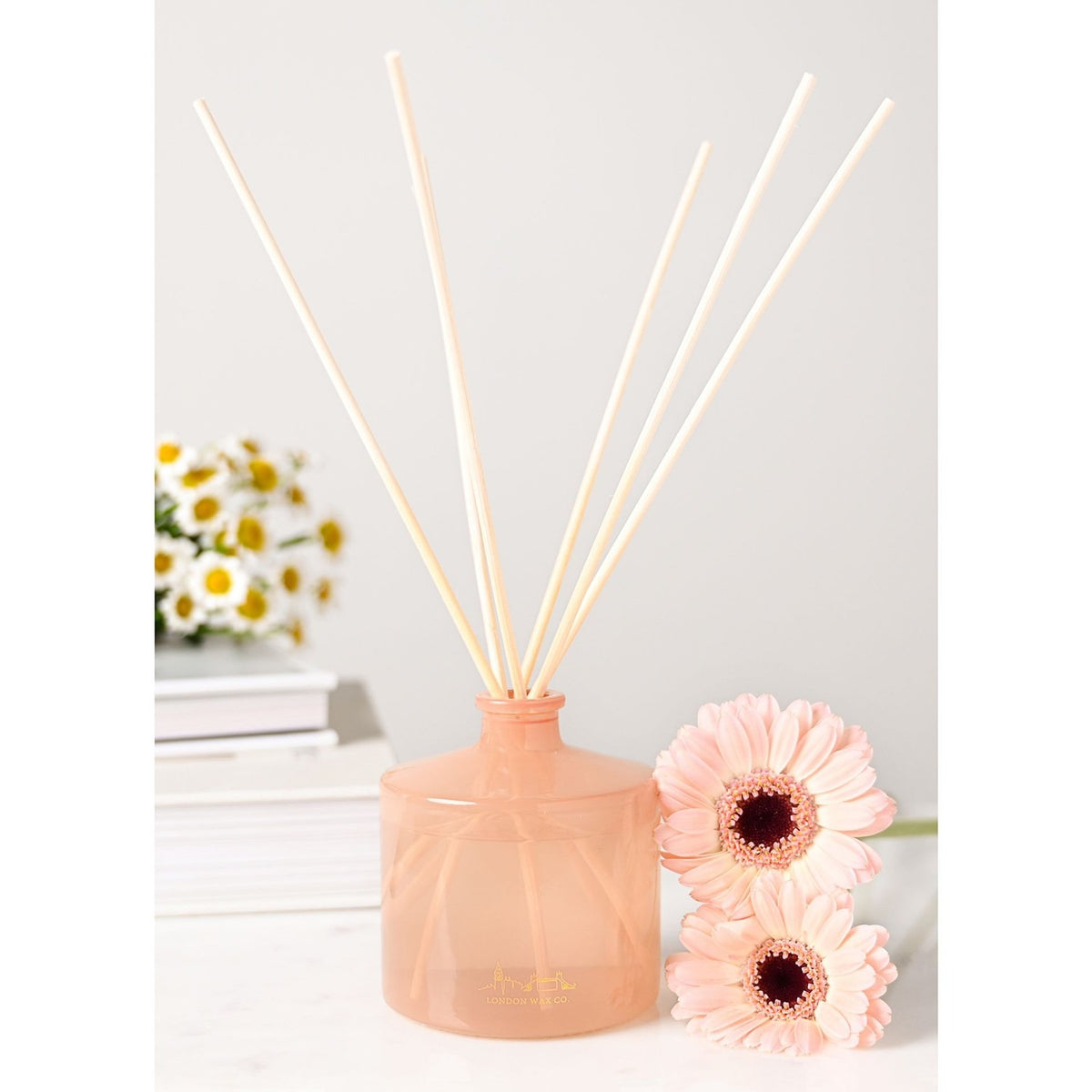 Meadow Dance Reed Diffuser 148ml - Orange