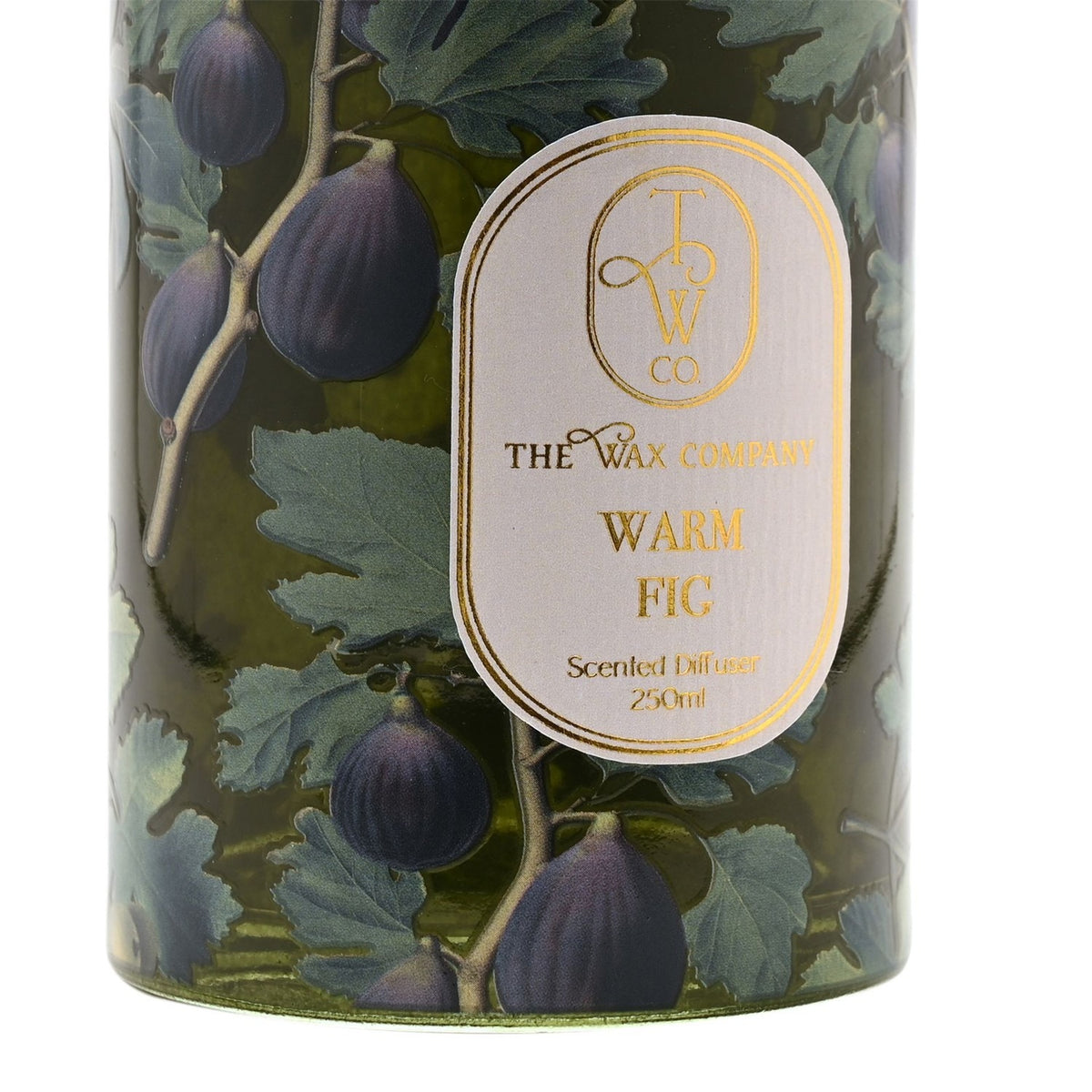 Warm Fig Printed Glass Reed Diffuser 250ml - Green & Purple