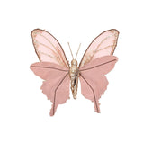 Sheer Butterfly Clip Decoration with Gold Glitter - Pink