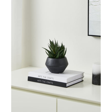 Yulara Artificial Succulent 17.5cm - Green & Black